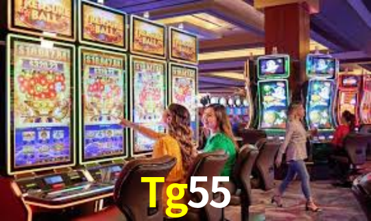 Descubra a Essência do Tg55: Nossa História e Compromissos