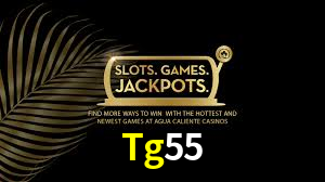 Desvendando o Mundo dos Jogos Virtuais na Tg55